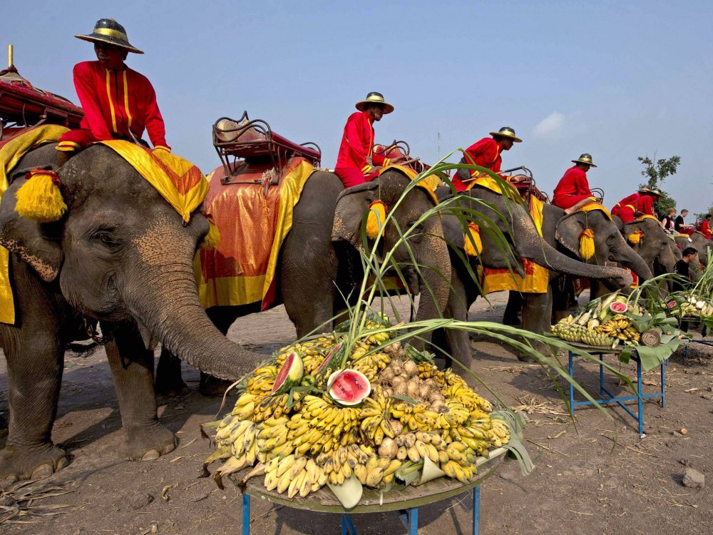 Elephant Day in Thailand