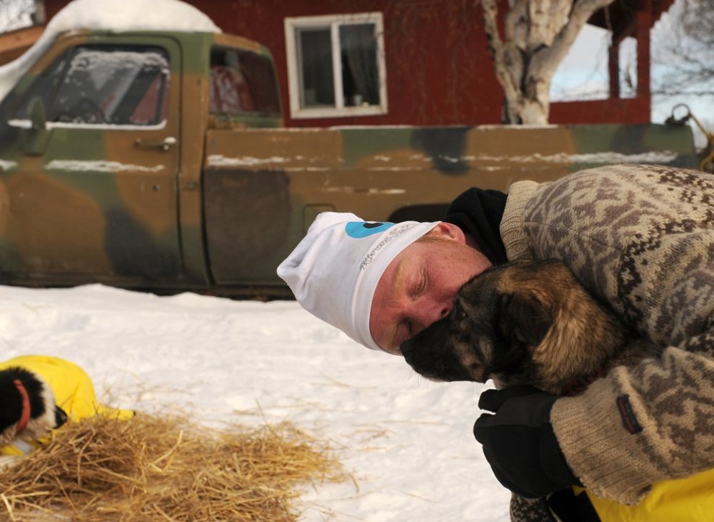 Щорічні перегони на собачих упряжках & laquo; Iditarod Trail Dog Race 2014 & raquo;