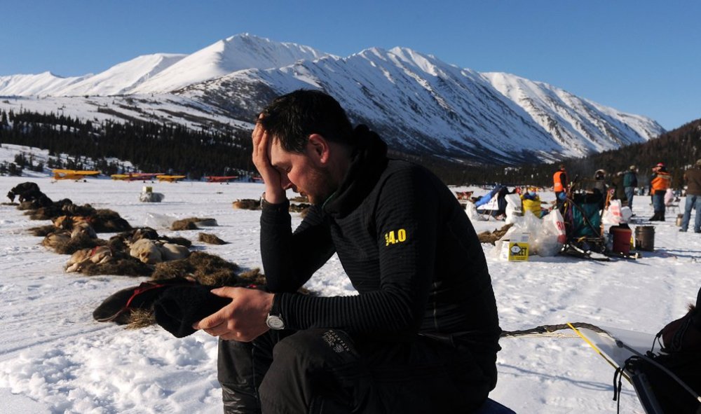 Ежегодные гонки на собачьих упряжках «Iditarod Trail Dog Race 2014»