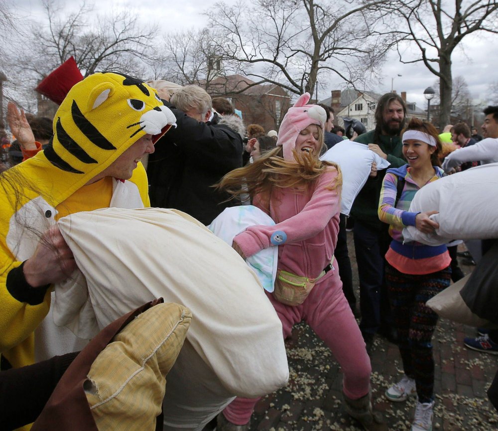 International Day of Fighting on Cushions 2014