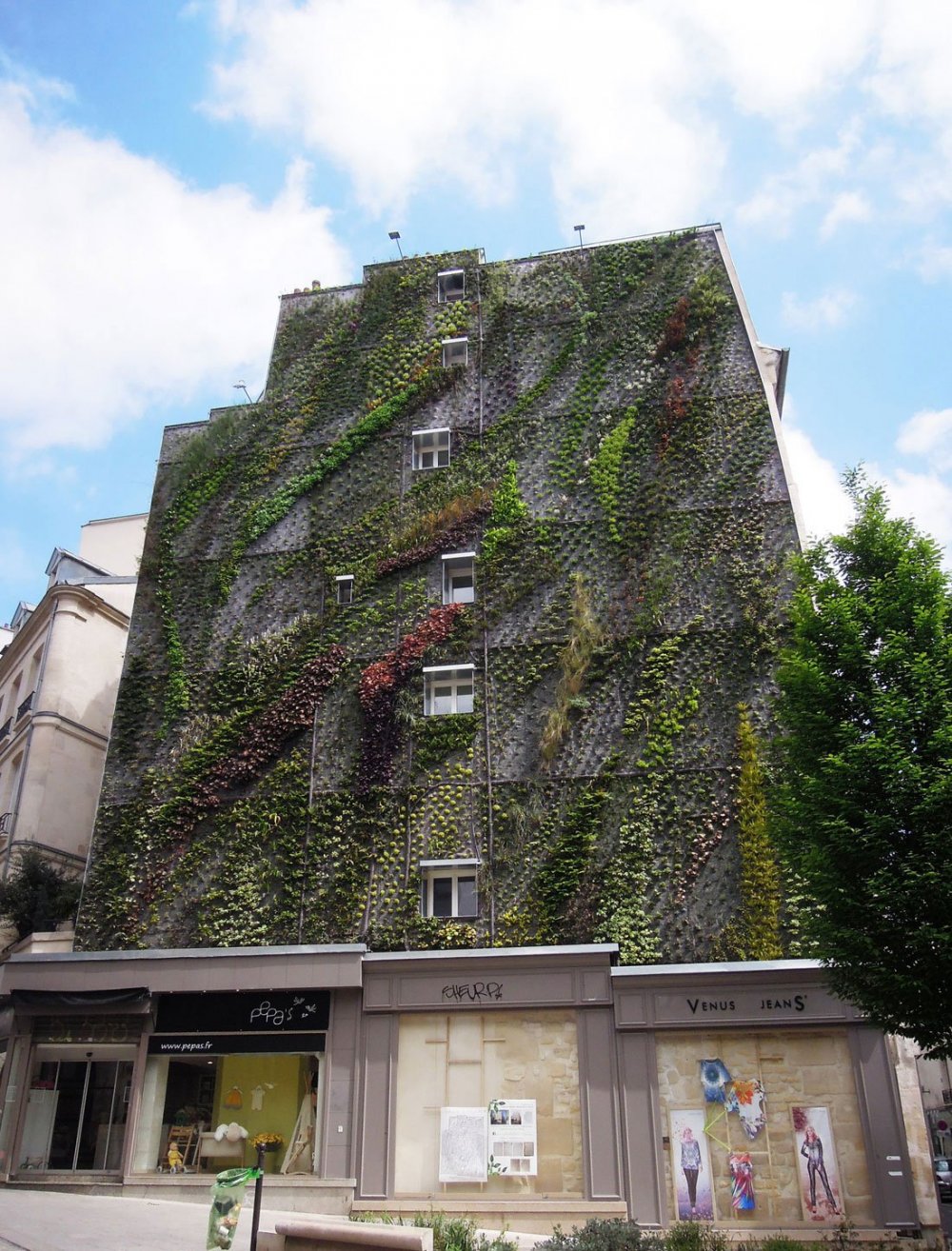 The vertical garden of Patrick Blanc (Patrick Blanc)