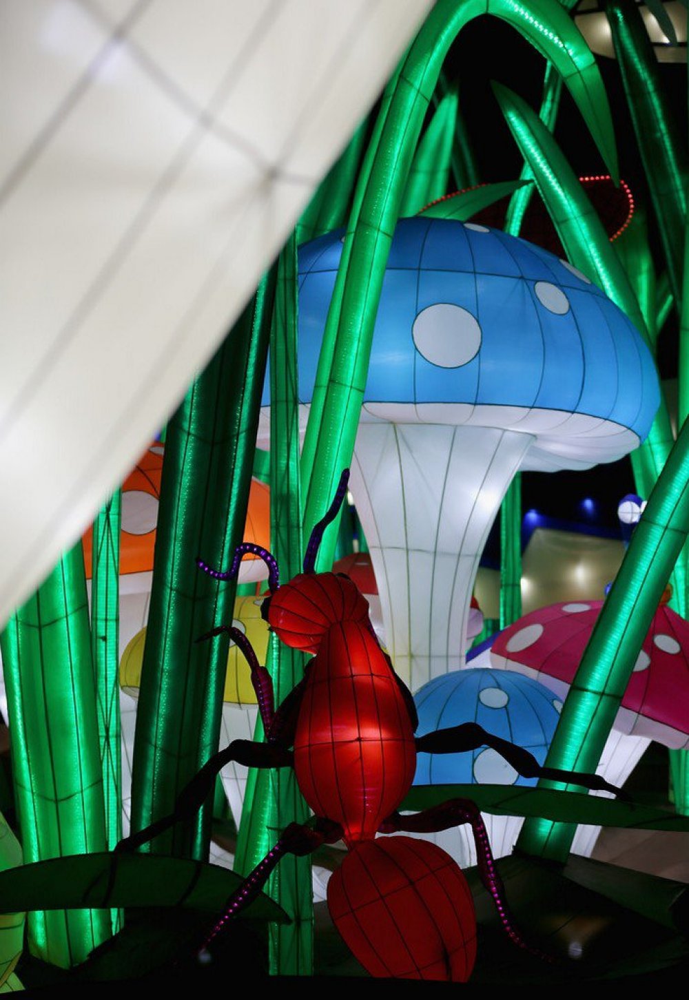 The world's largest exhibition of lanterns and flashlights