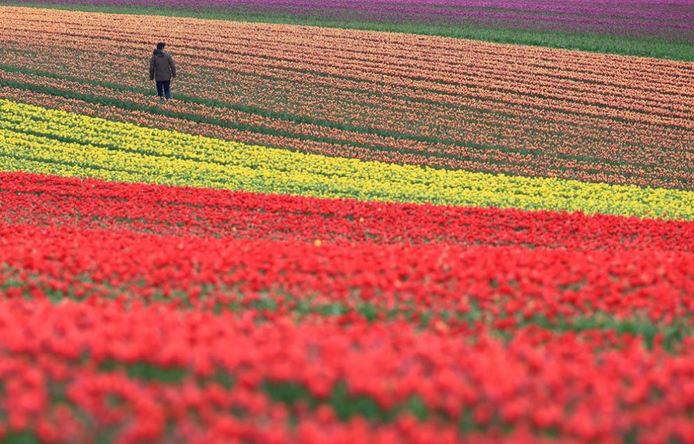 The spring riot of the Earth