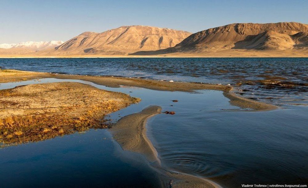 Black Lake Karakul