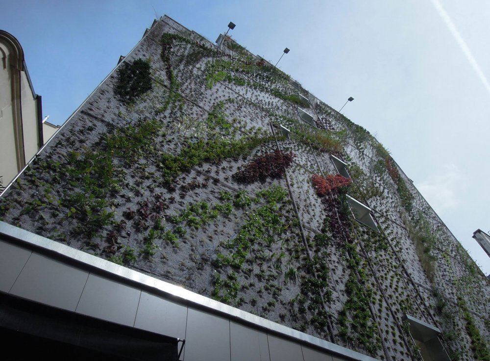 The vertical garden of Patrick Blanc (Patrick Blanc)