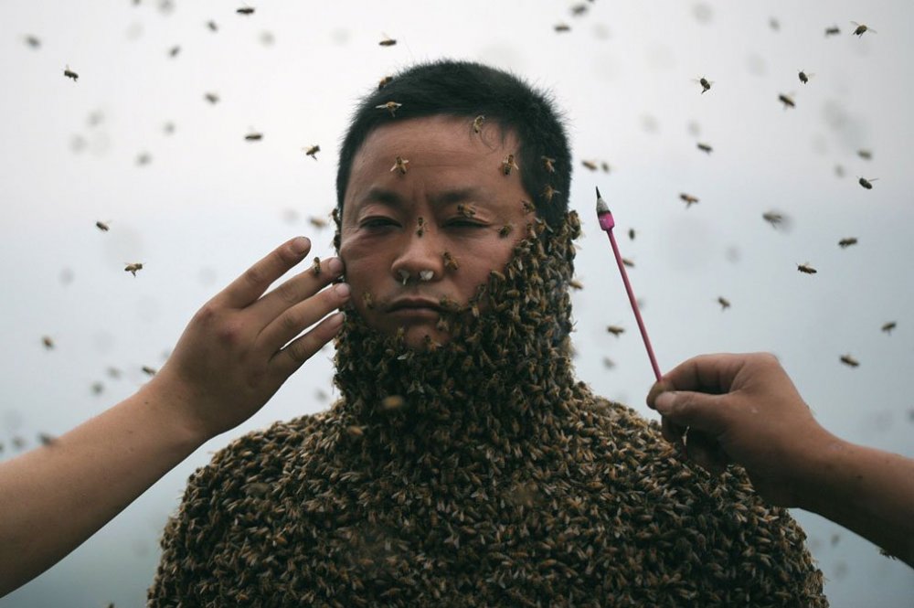 The costume of bees at 45 kilos