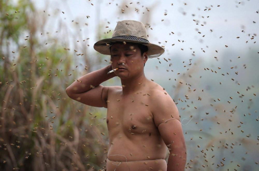 The costume of bees at 45 kilos