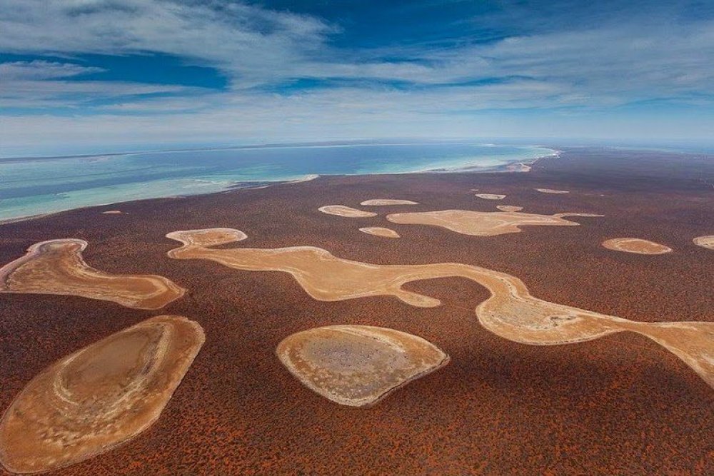 Gypsum Lake birridas in Shark Bay