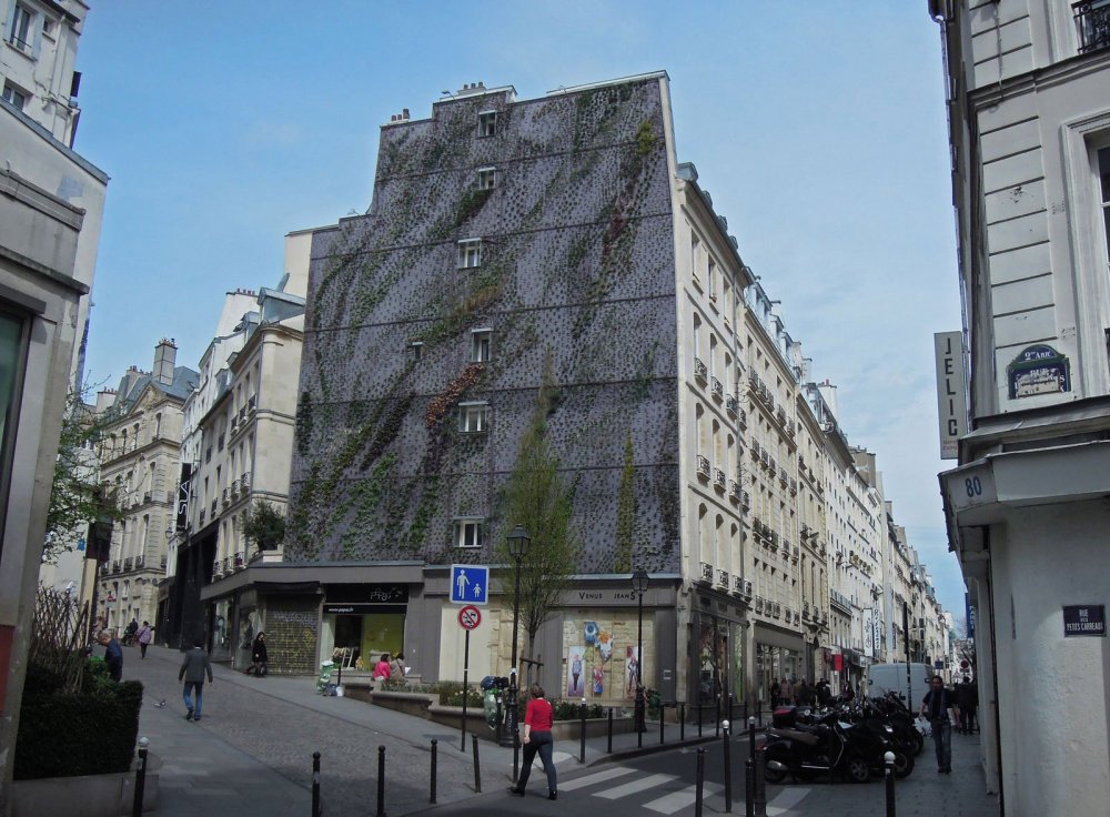 Patrick Blanc's Vertical Garden