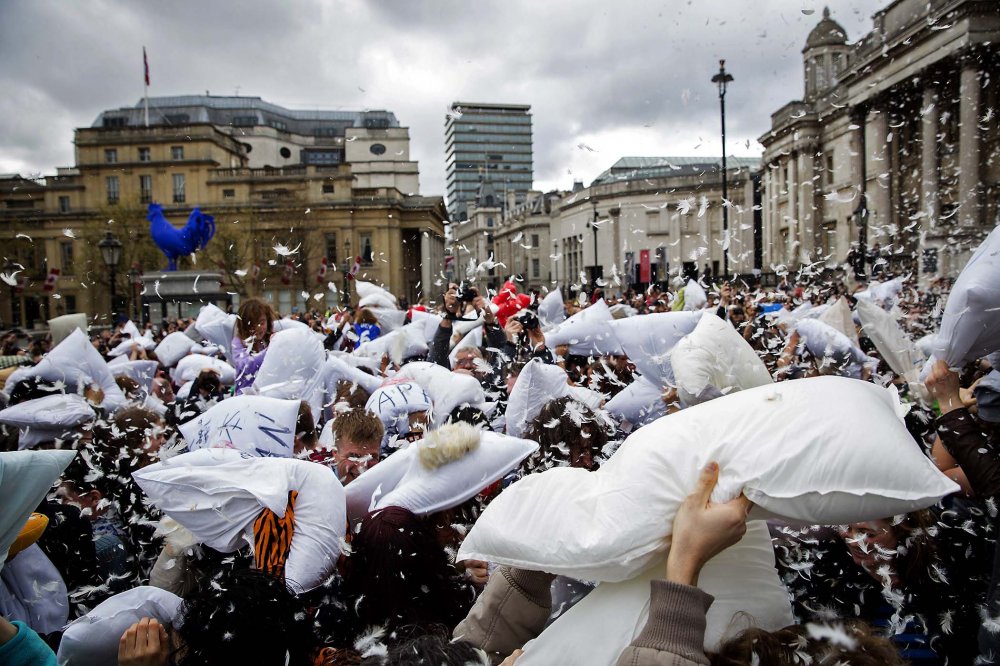 International Day of Fighting on Cushions 2014