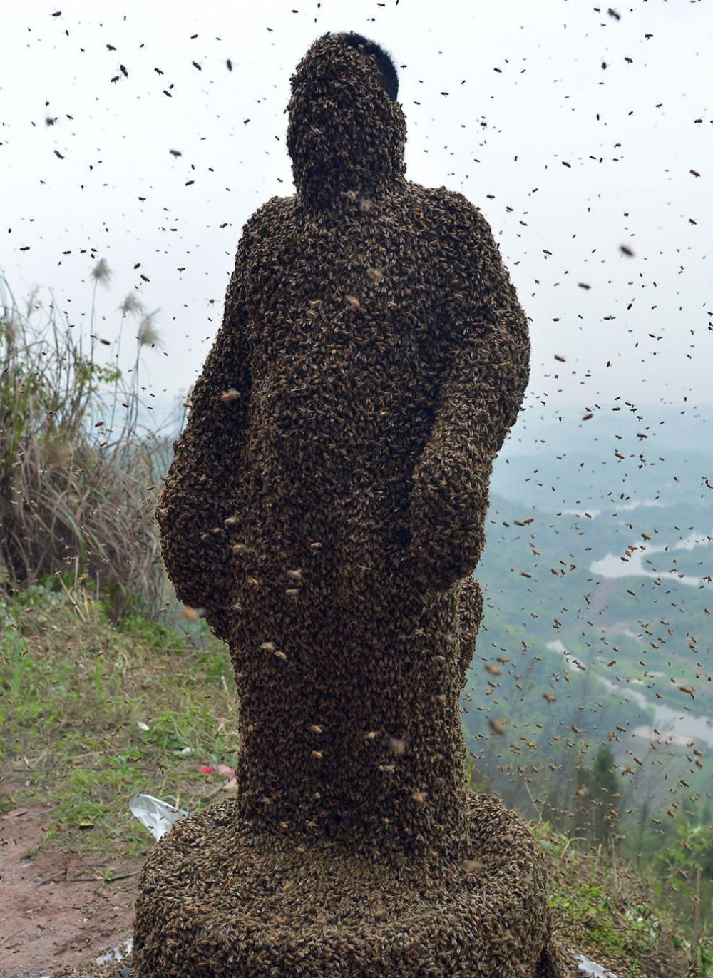 The costume of bees at 45 kilos