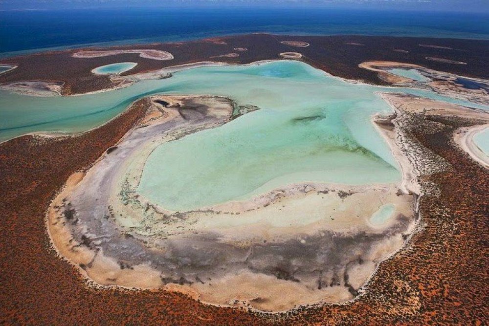 Gypsum Lake birridas in Shark Bay