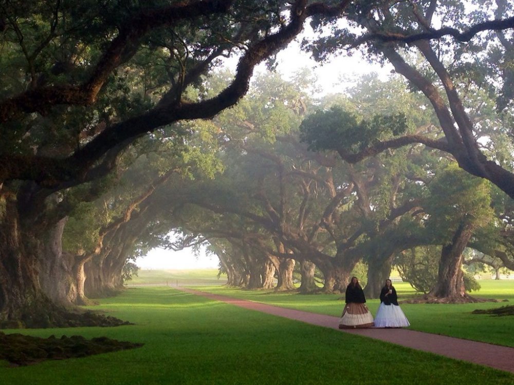 All finalists of the photo contest from & Smithsonian Magazine & raquo;