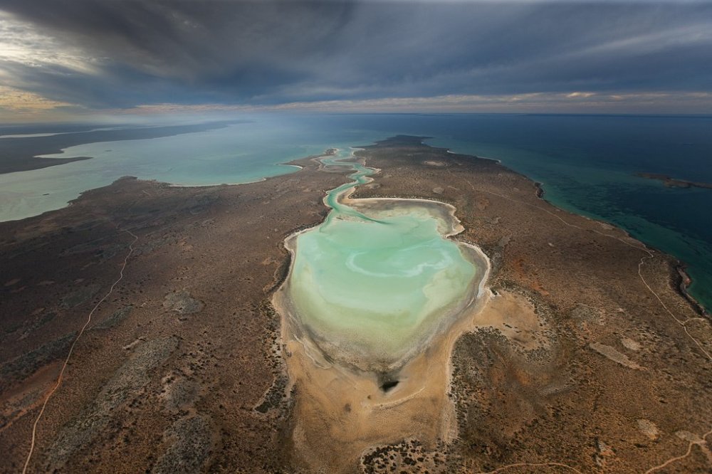 Gypsum Lake birridas in Shark Bay