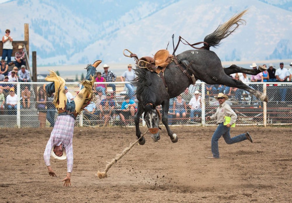 All finalists of the photo contest from & Smithsonian Magazine & raquo;