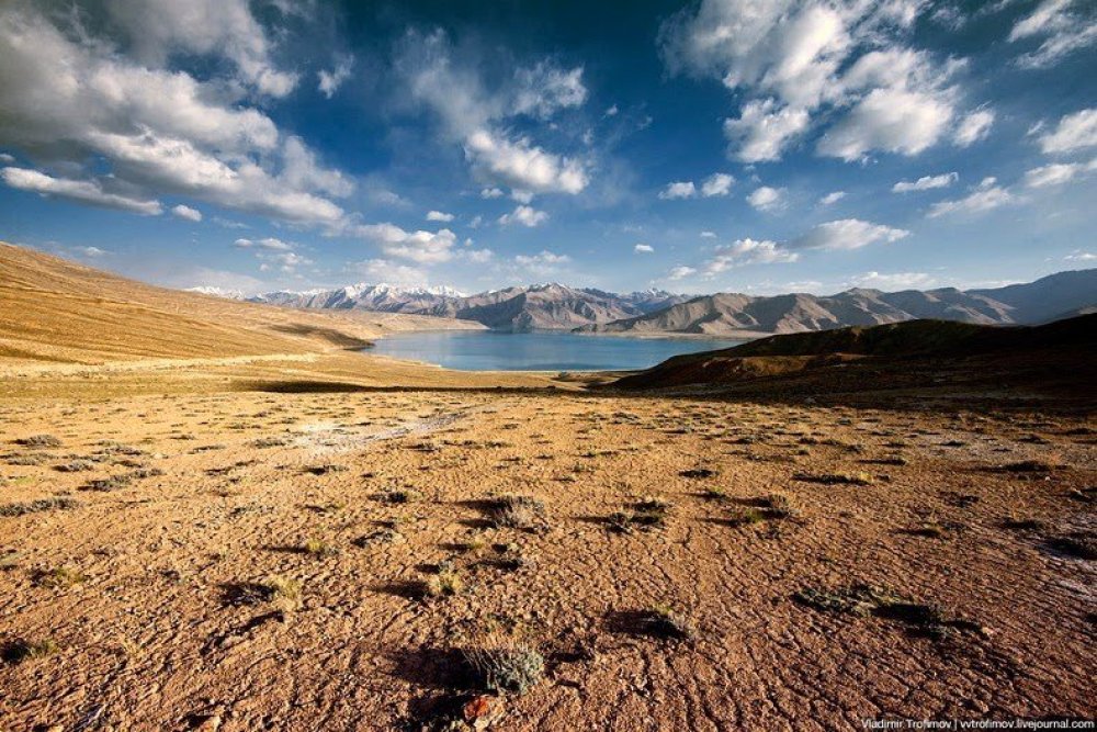 Black Lake Karakul