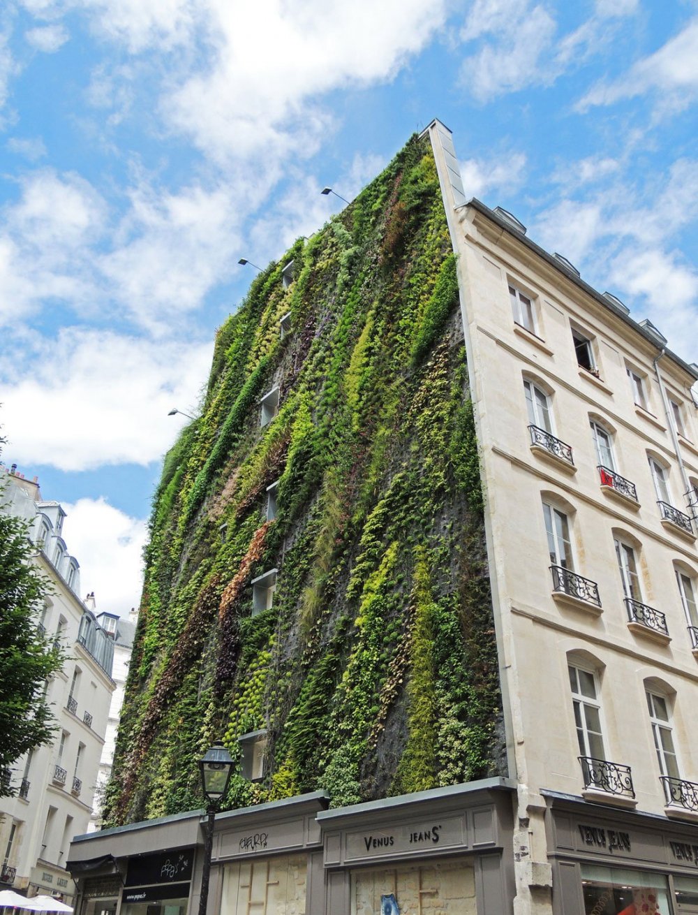 The vertical garden of Patrick Blanc (Patrick Blanc)