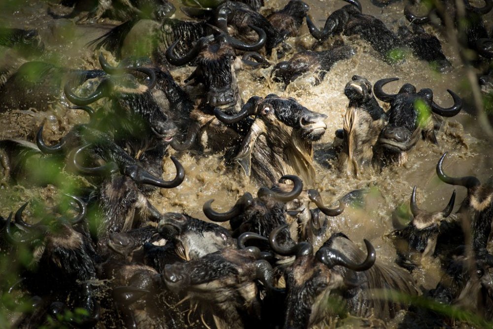 All finalists of the photo contest from & Smithsonian Magazine & raquo;