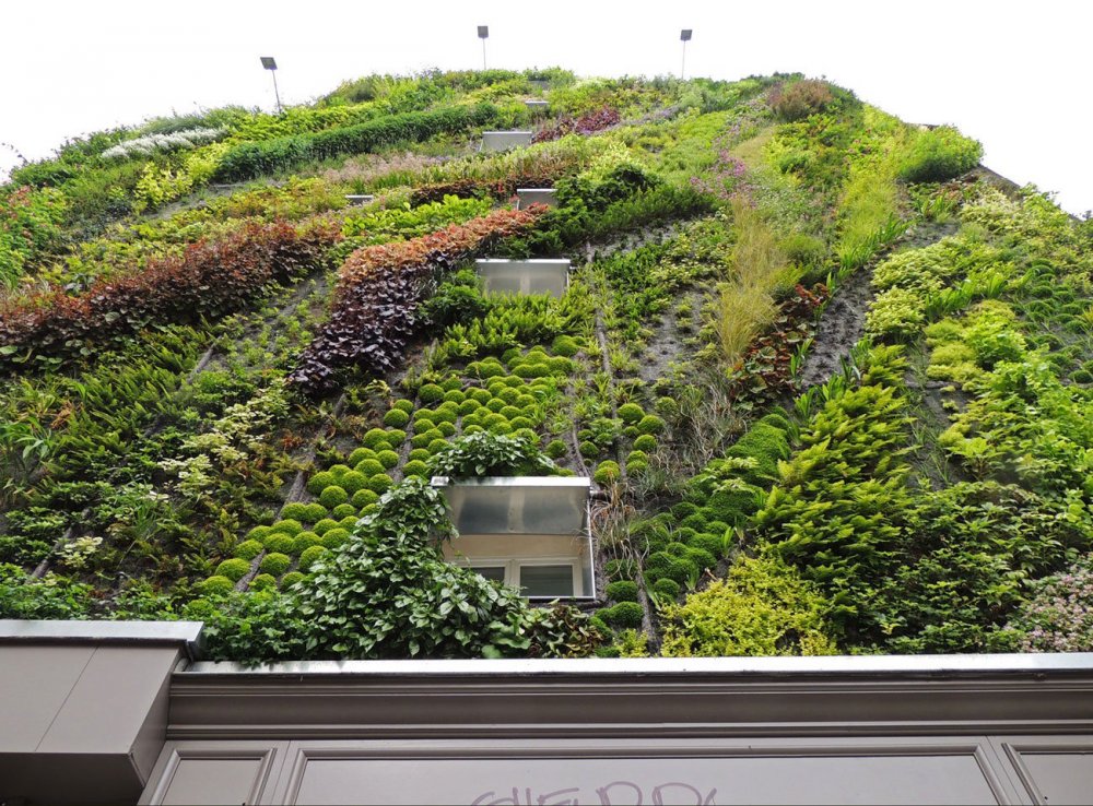 The vertical garden of Patrick Blanc (Patrick Blanc)