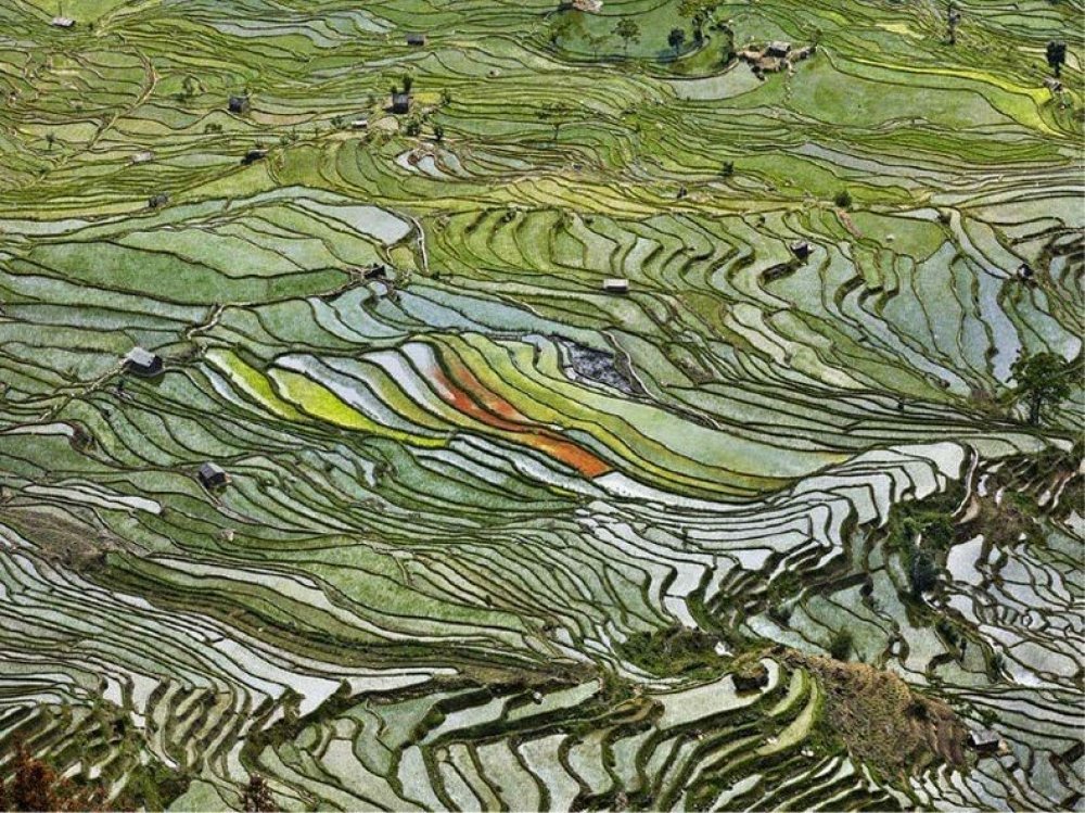 Edward Burtynsky (Edward Burtynsky) and his & laquo; Water & raquo;