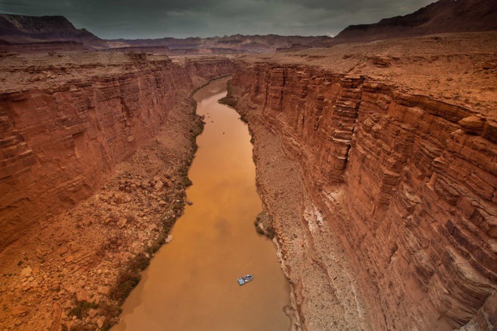 Все финалисты фотоконкурса от «Smithsonian Magazine»