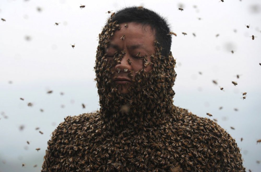 The costume of bees at 45 kilos