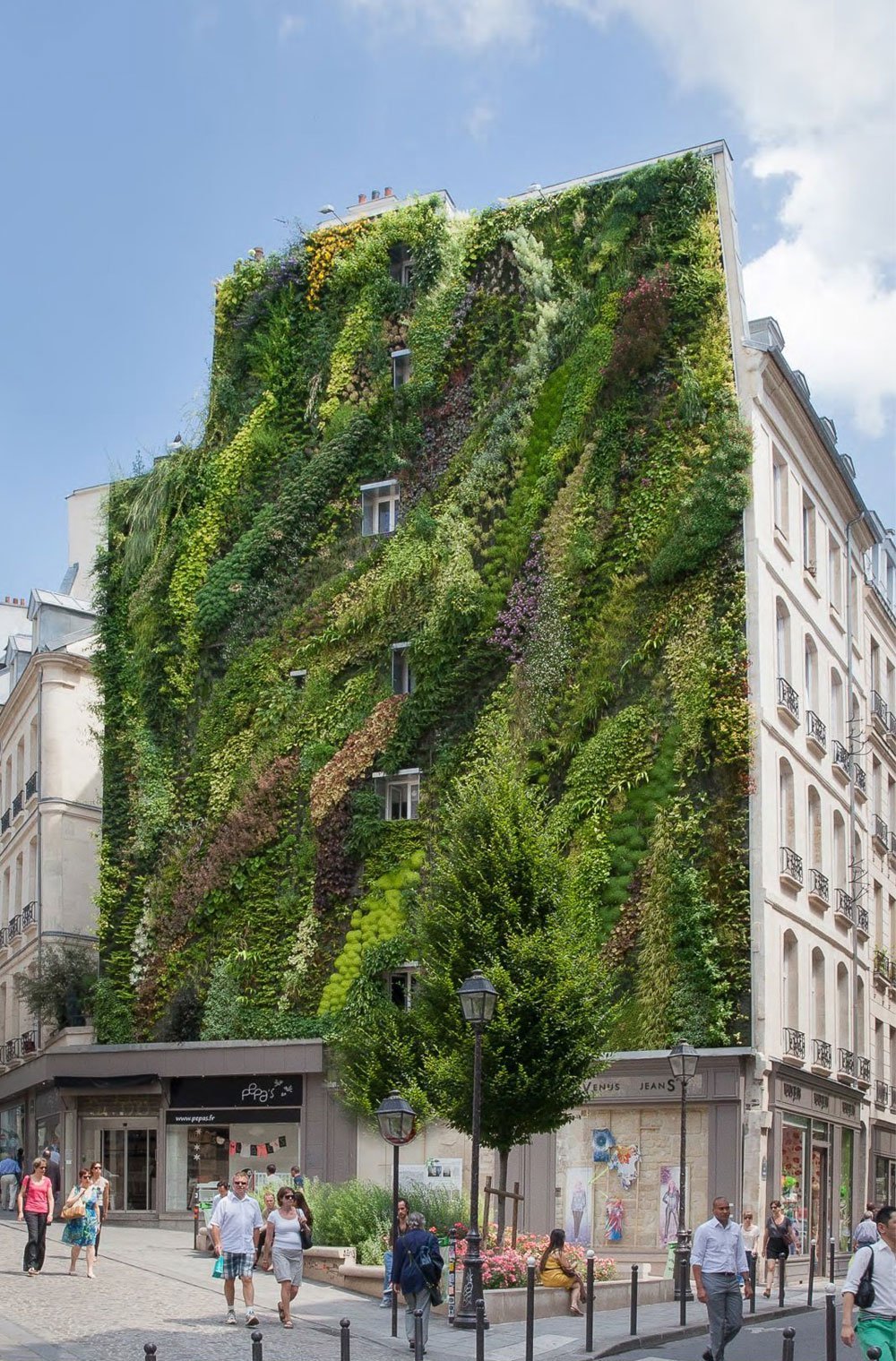 The vertical garden of Patrick Blanc (Patrick Blanc)