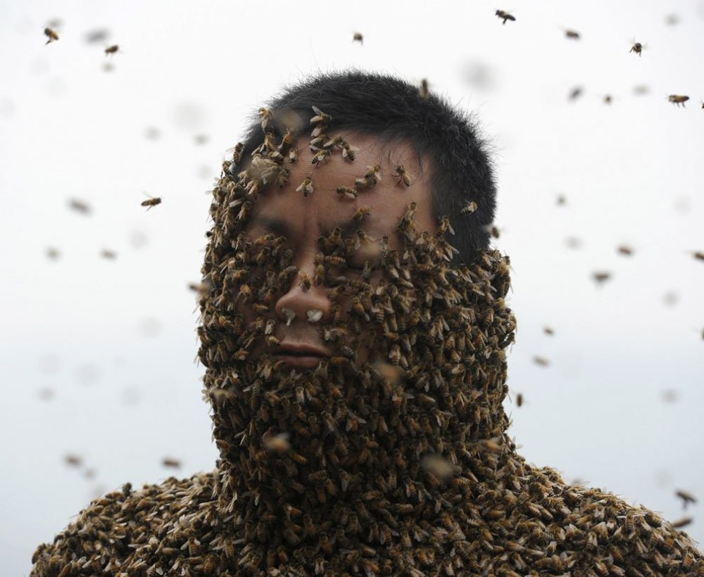 The costume of bees at 45 kilos