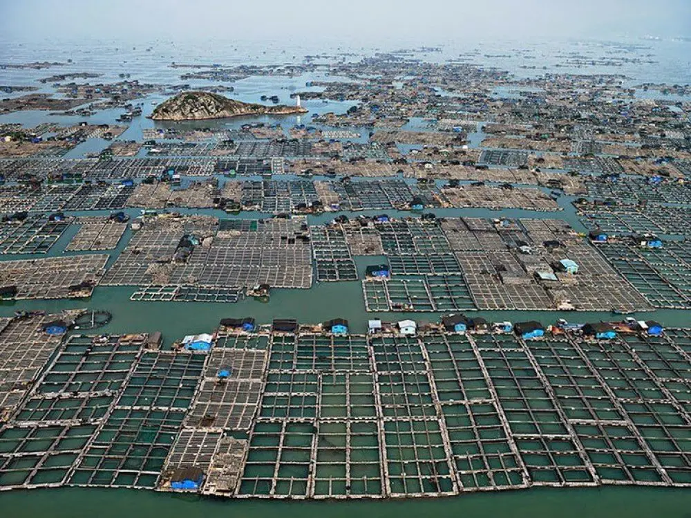 Эдвард Бертински (Edward Burtynsky) и его «Вода»
