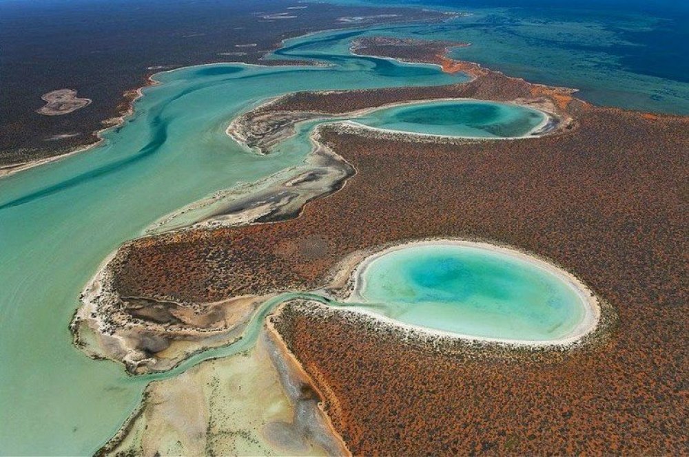 Gypsum Lake birridas in Shark Bay