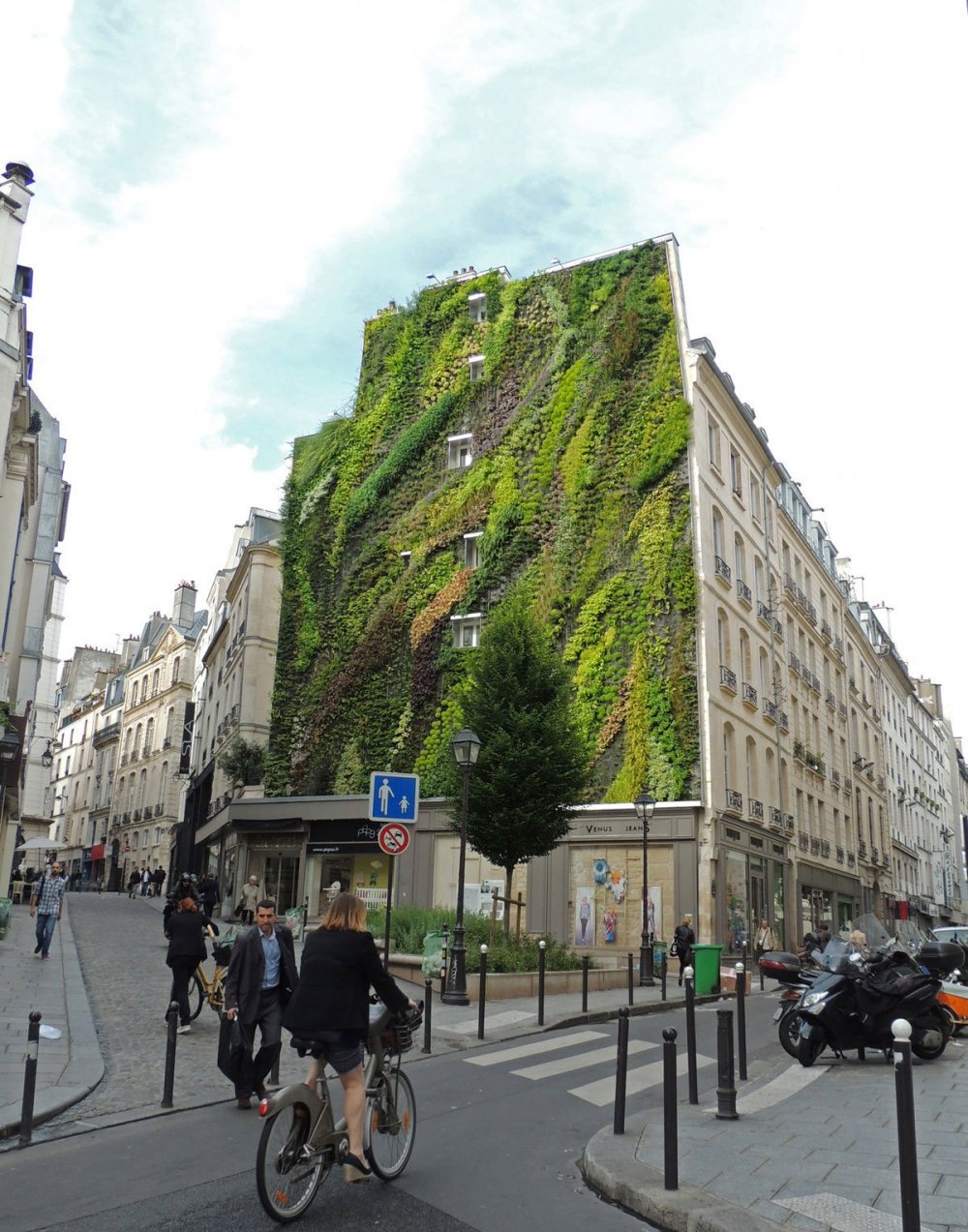 Patrick Blanc's Vertical Garden