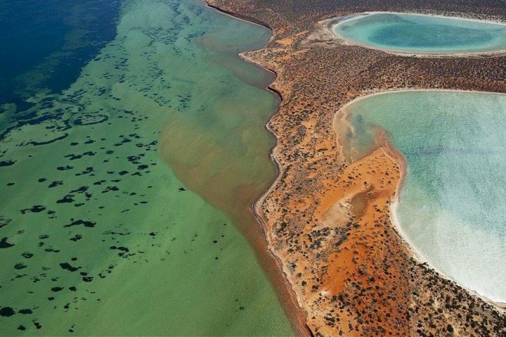 Gypsum Lake birridas in Shark Bay