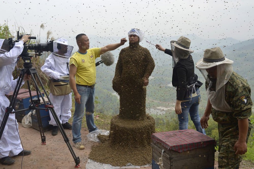 The costume of bees at 45 kilos