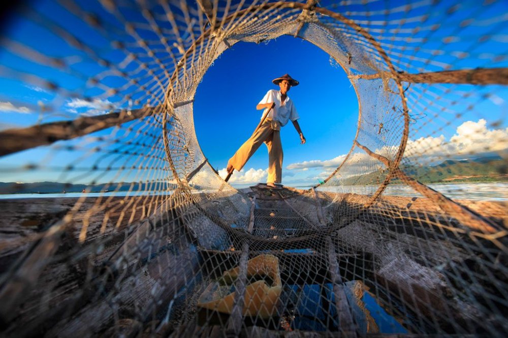 All finalists of the photo contest from & Smithsonian Magazine & raquo;