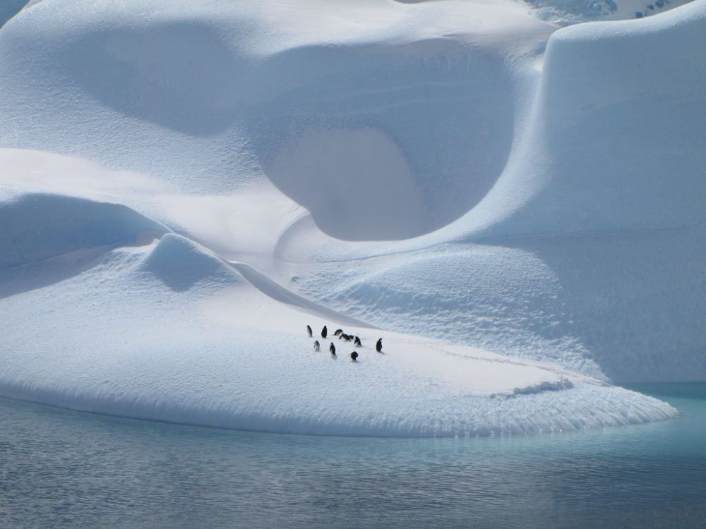 All finalists of the photo contest from & Smithsonian Magazine & raquo;