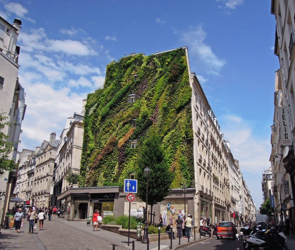 The vertical garden of Patrick Blanc (Patrick Blanc)