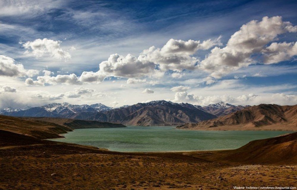 Black Lake Karakul