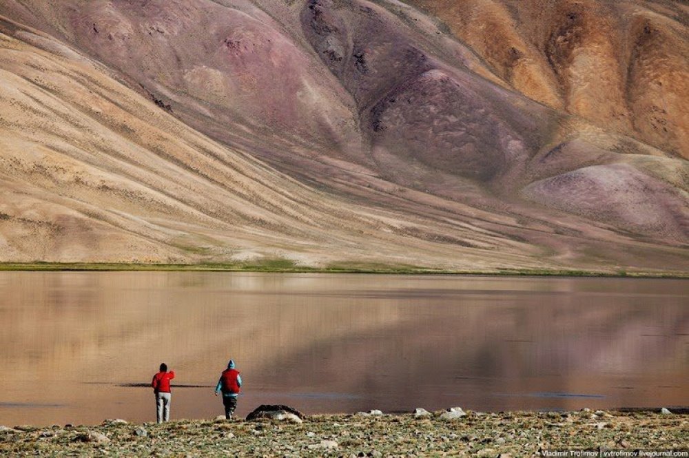 Black Lake Karakul