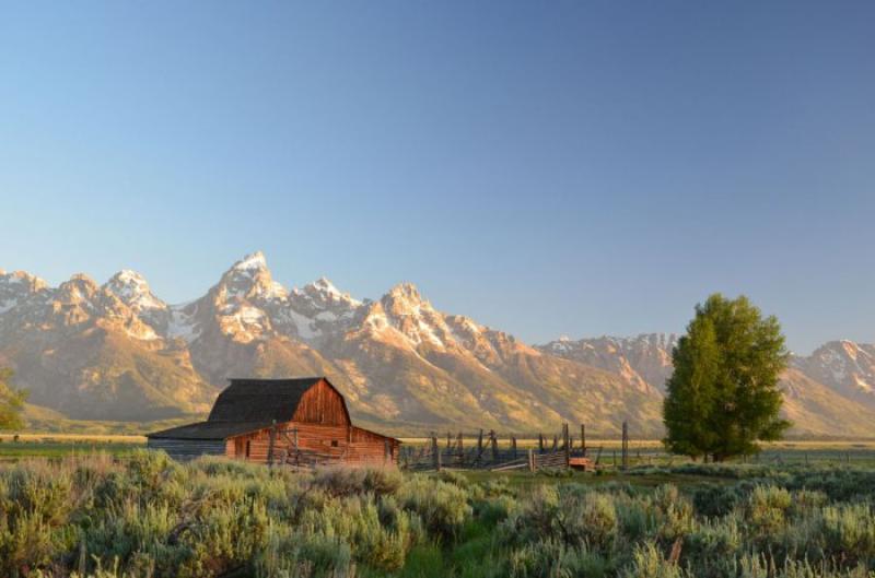 All the finalists of the photo contest from Smithsonian Magazine