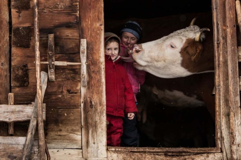 Лучшие фото National Geographic за март