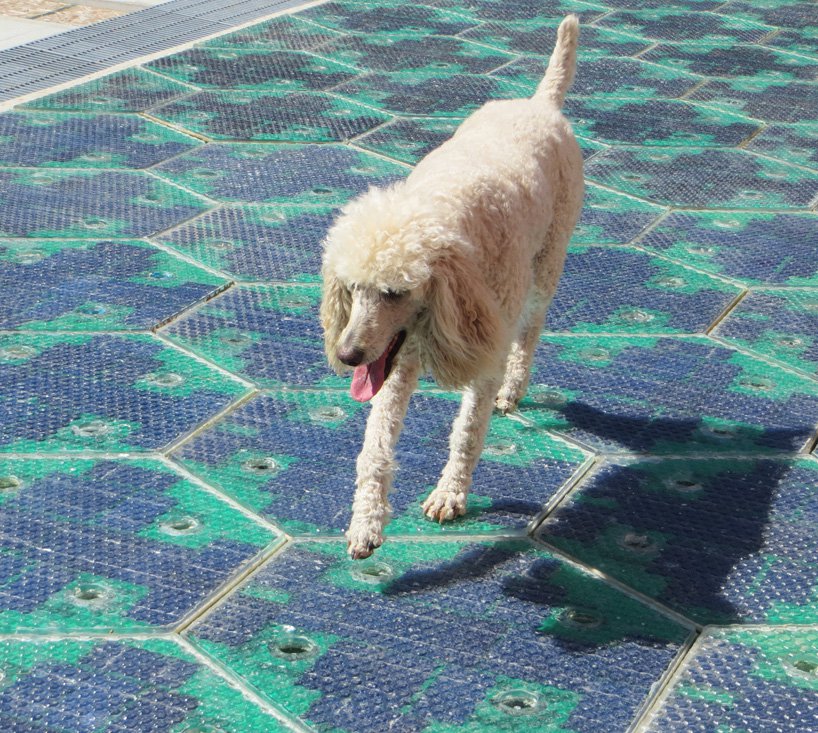 Smart streets with solar panels