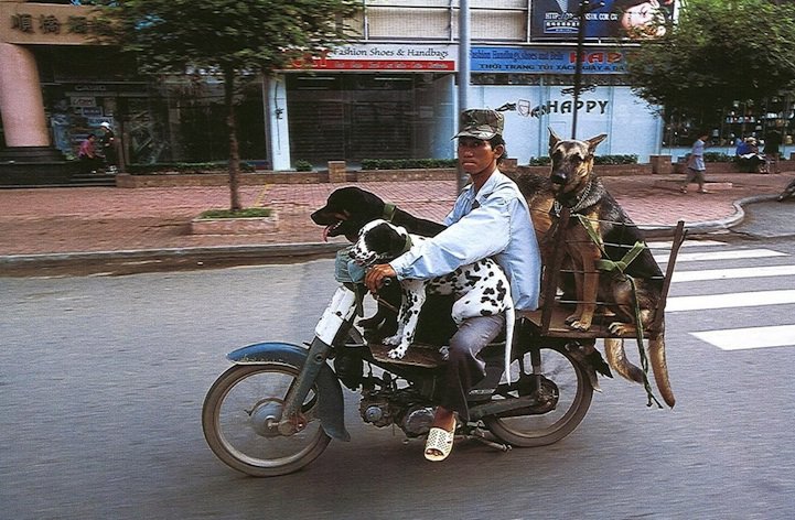 Фотосерия «Мотоциклы бремени» (Bikes of Burden)