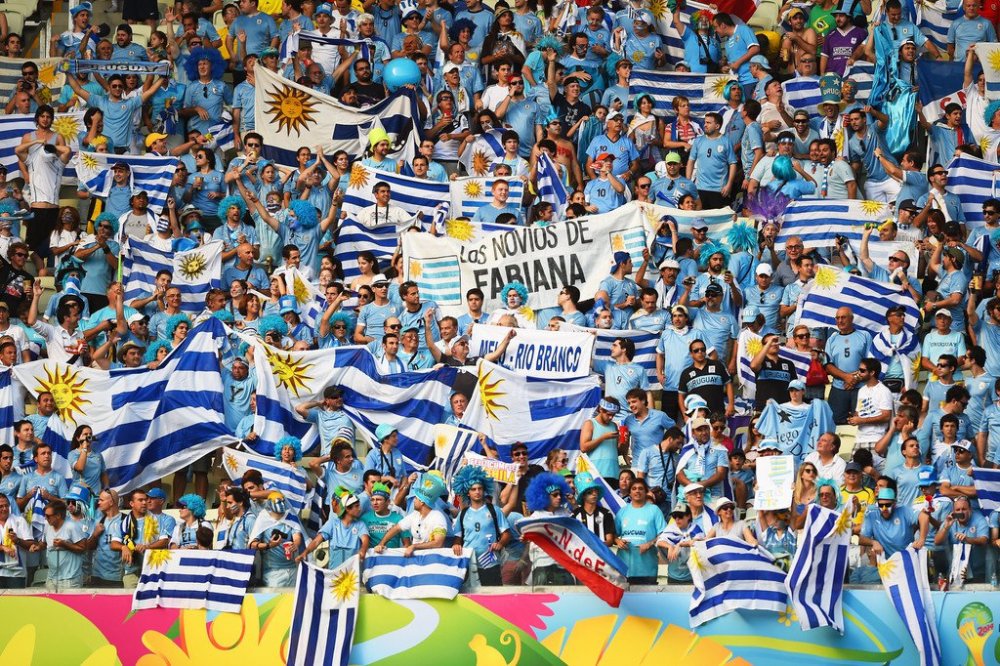 World Cup 2014: fans and fans