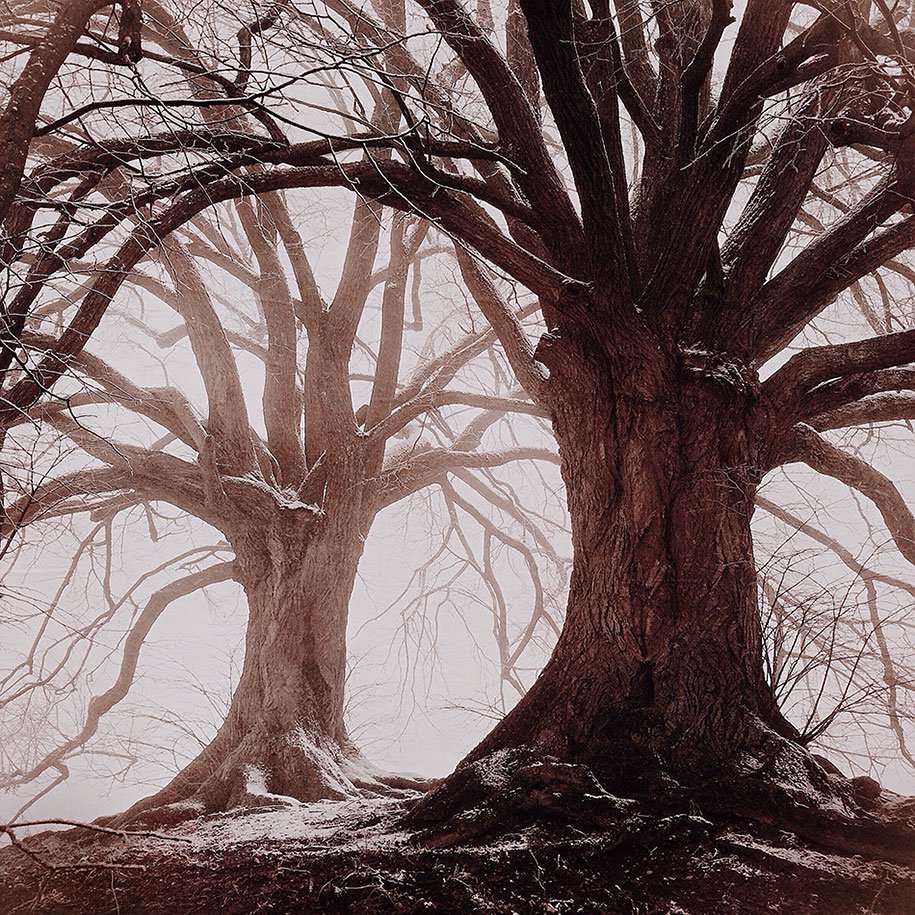 Winners of the photo contest & laquo; iPhone Photography Awards 2014 & raquo;