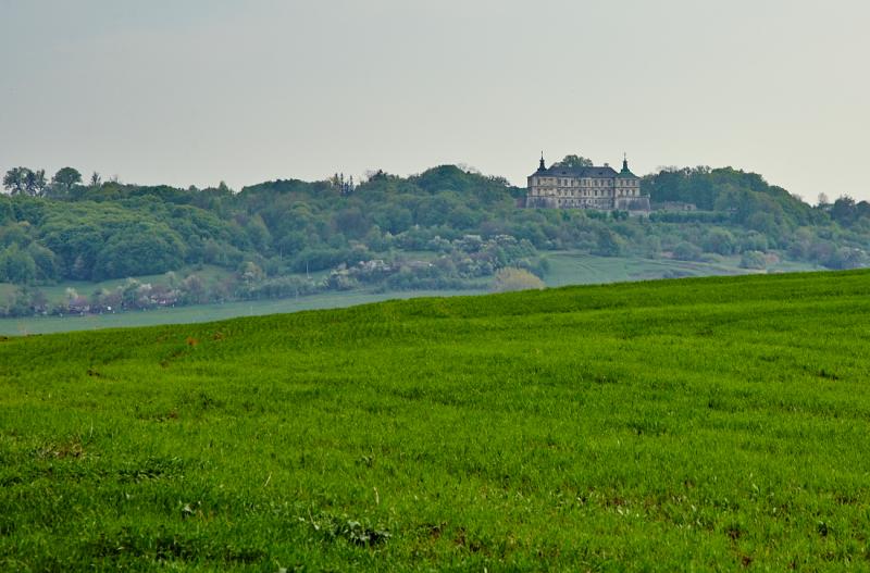 Podgoretsky Castle