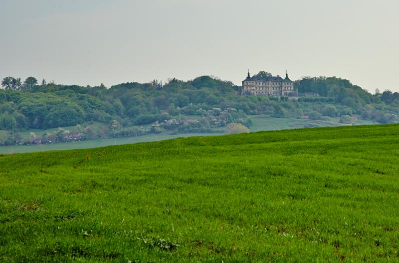 Підгорецький замок