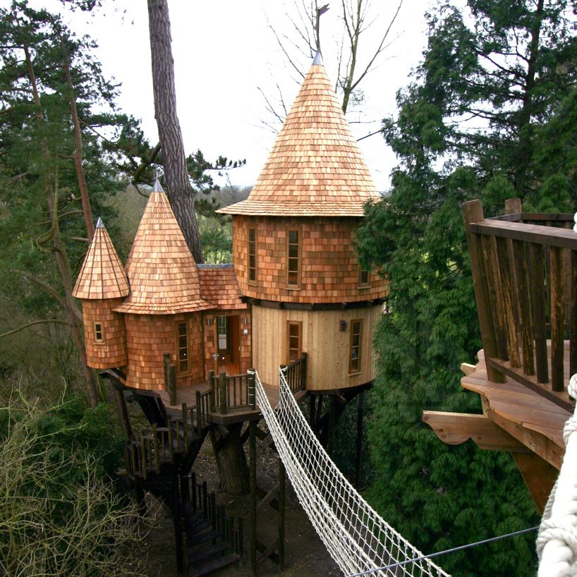 A British family lives in two houses on trees