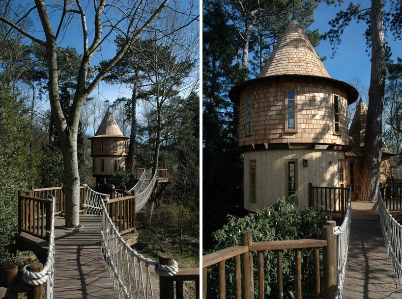 The British family lives in two houses on trees