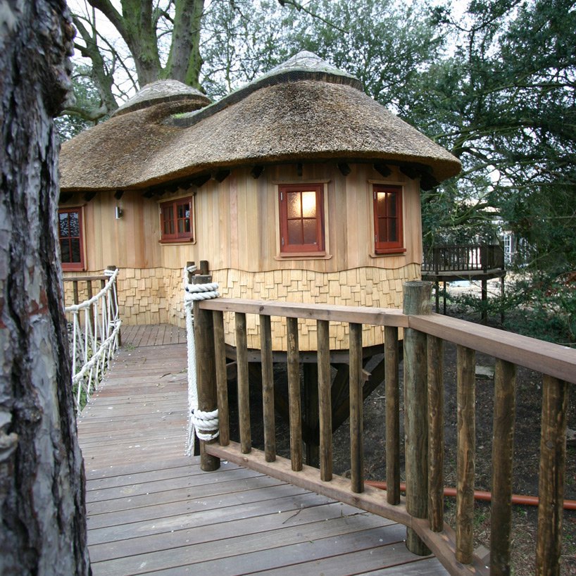 The British family lives in two houses on trees