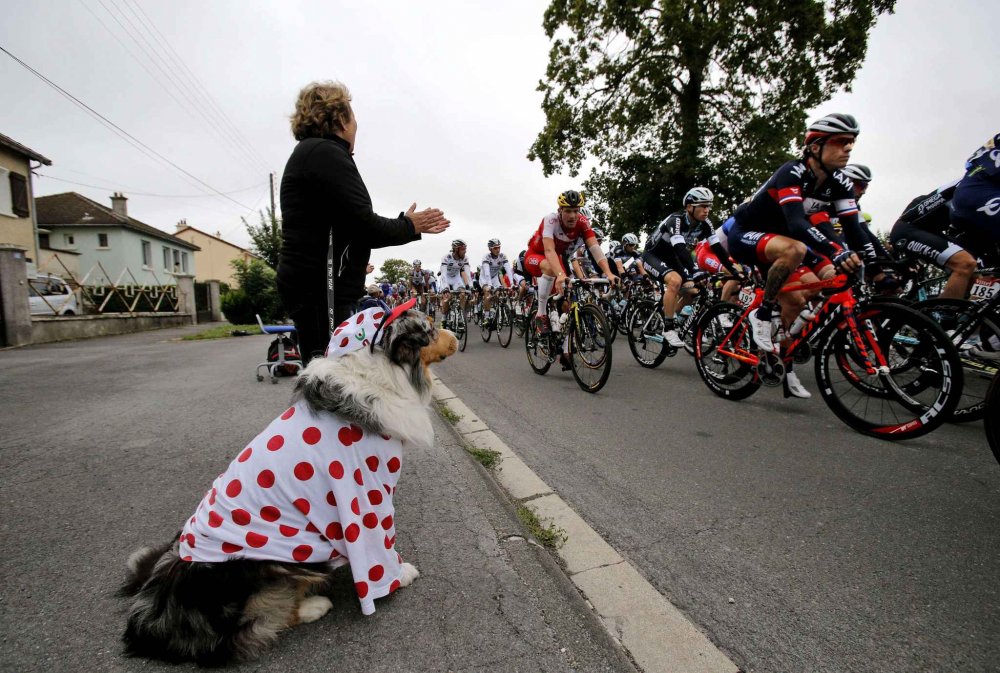 Самые яркие фотографии веломногодневки Tour de France 2014